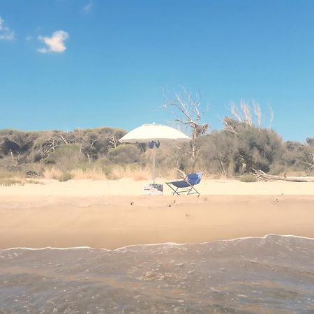 Willa Oasis Escape Vaccarizzo-Delfino Zewnętrze zdjęcie